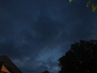 20230805214409 IMG 0713