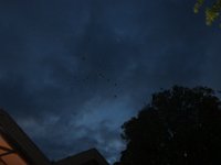 20230805214412 IMG 0714