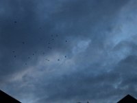 20230805214427 IMG 0717