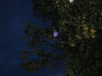 20230805214517 IMG 0722