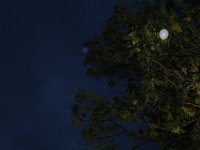 20230805214520 IMG 0723